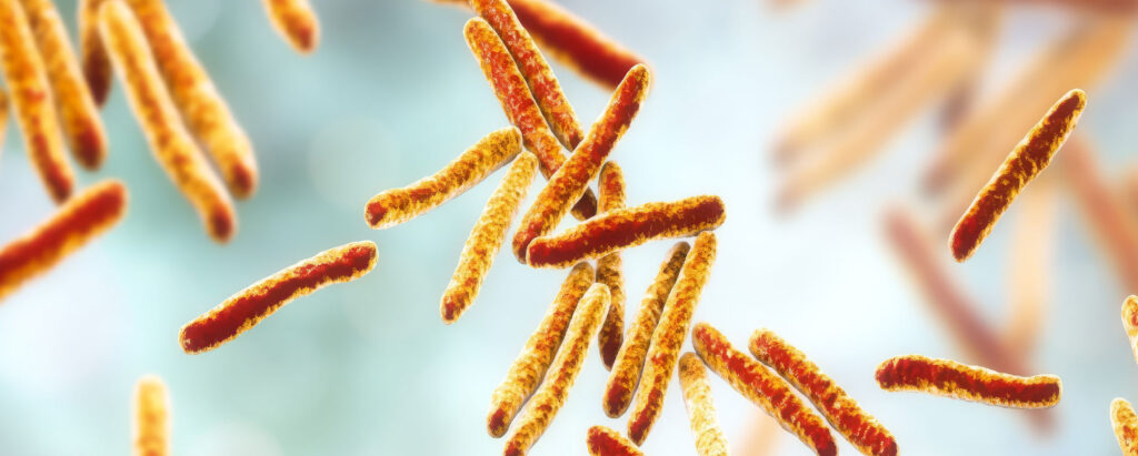 Mycobacterium